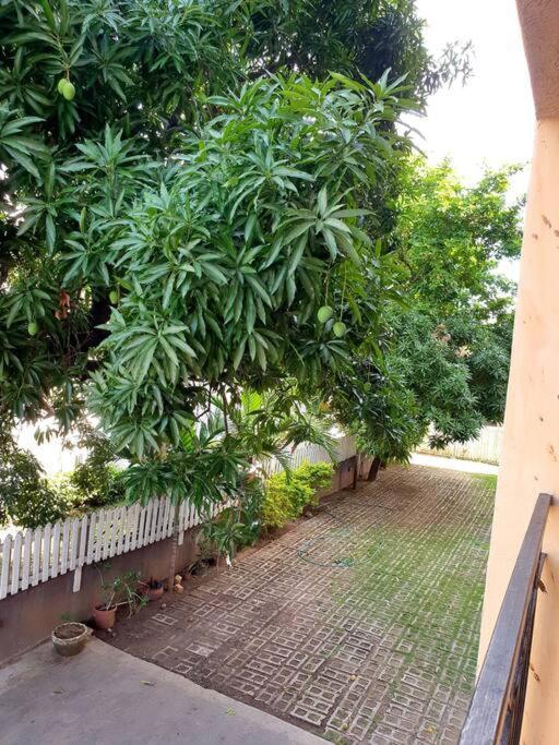 Central Upscale New Kingston Apt With Pool Exteriör bild